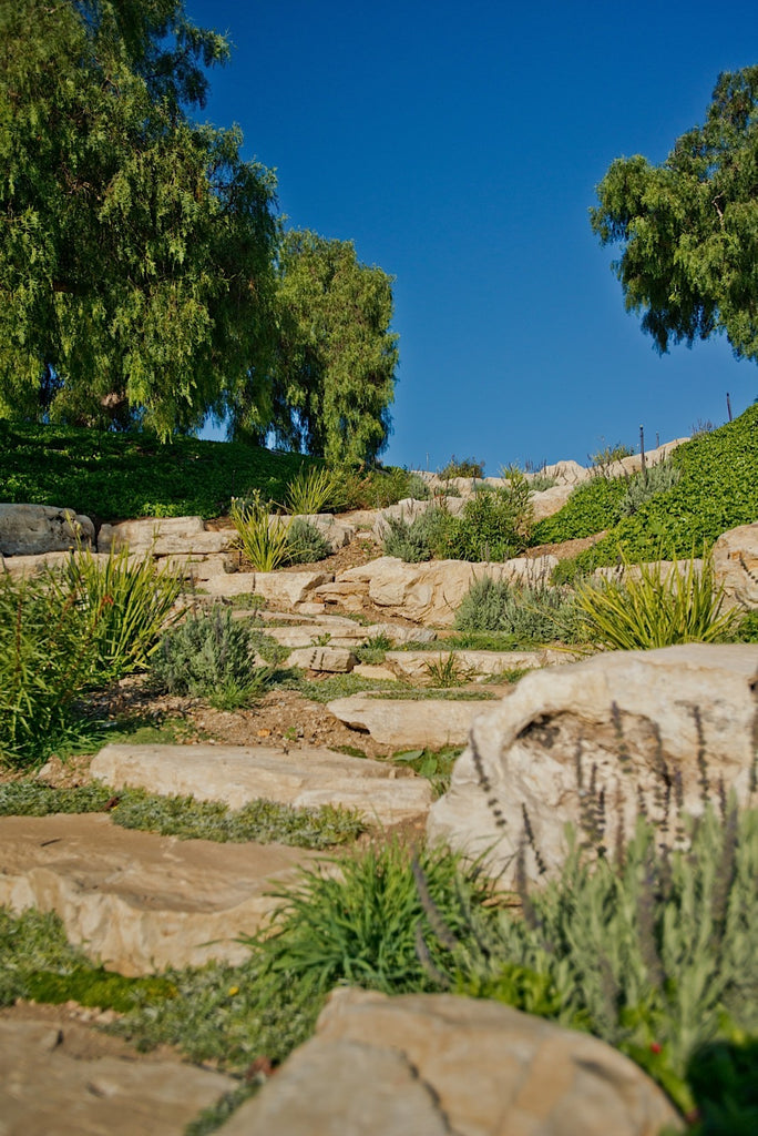 Ranch - RA3079 - Vineyard Land