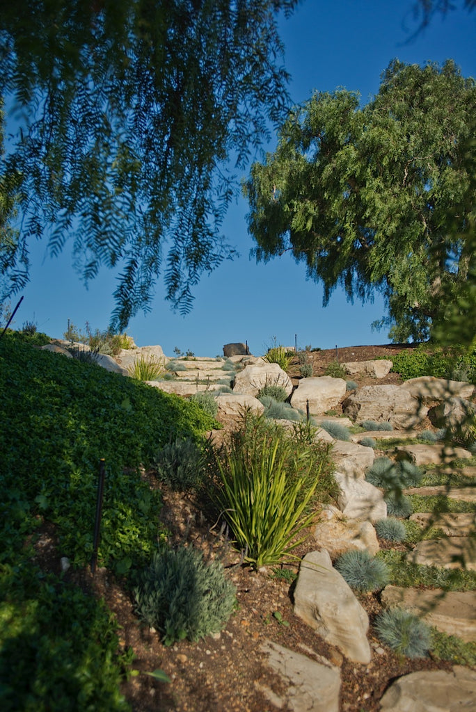 Ranch - RA3079 - Vineyard Land