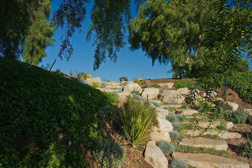 Ranch - RA3079 - Vineyard Land