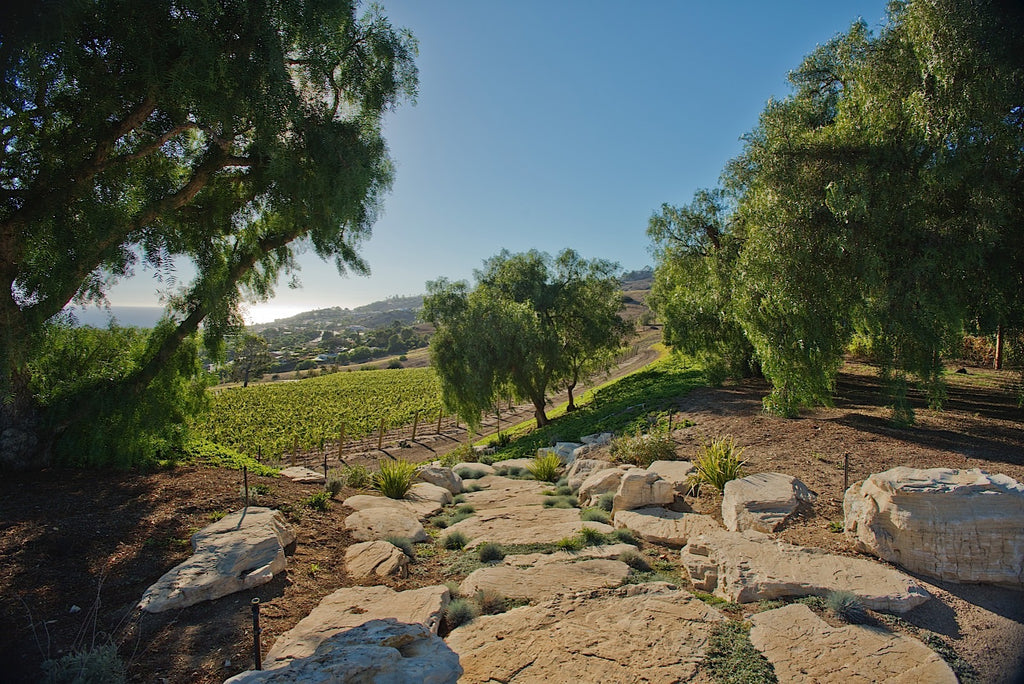 Ranch - RA3079 - Vineyard Land