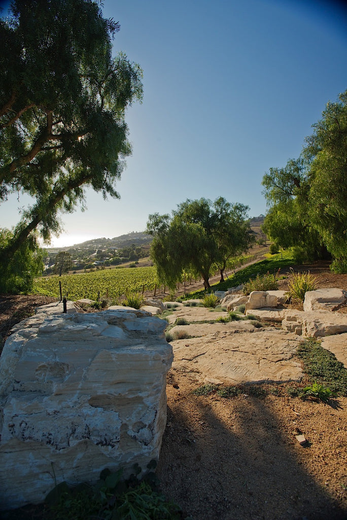 Ranch - RA3079 - Vineyard Land