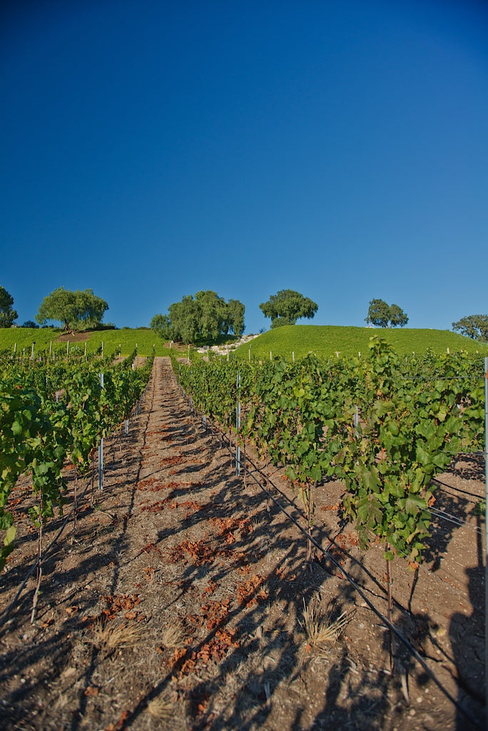 Ranch - RA3079 - Vineyard Land