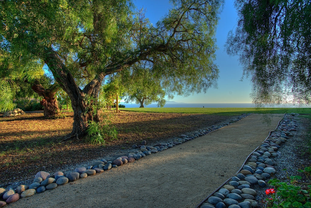 Ranch - RA3079 - Vineyard Land