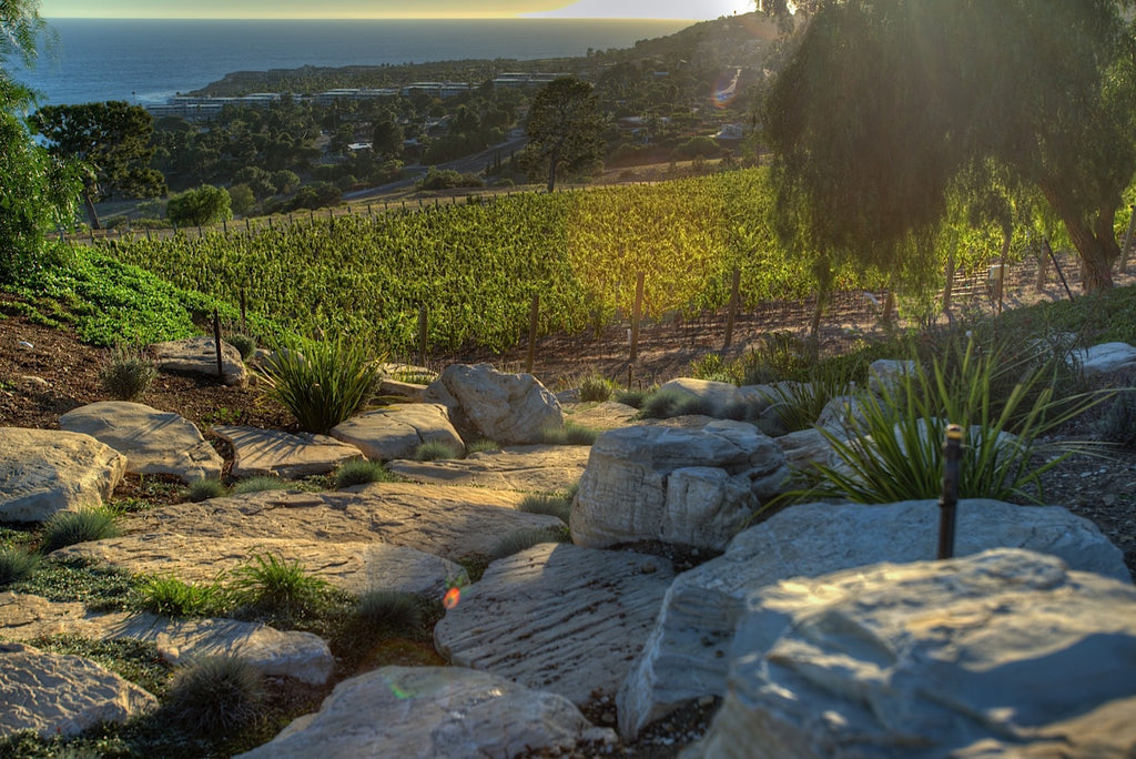 Ranch - RA3079 - Vineyard Land