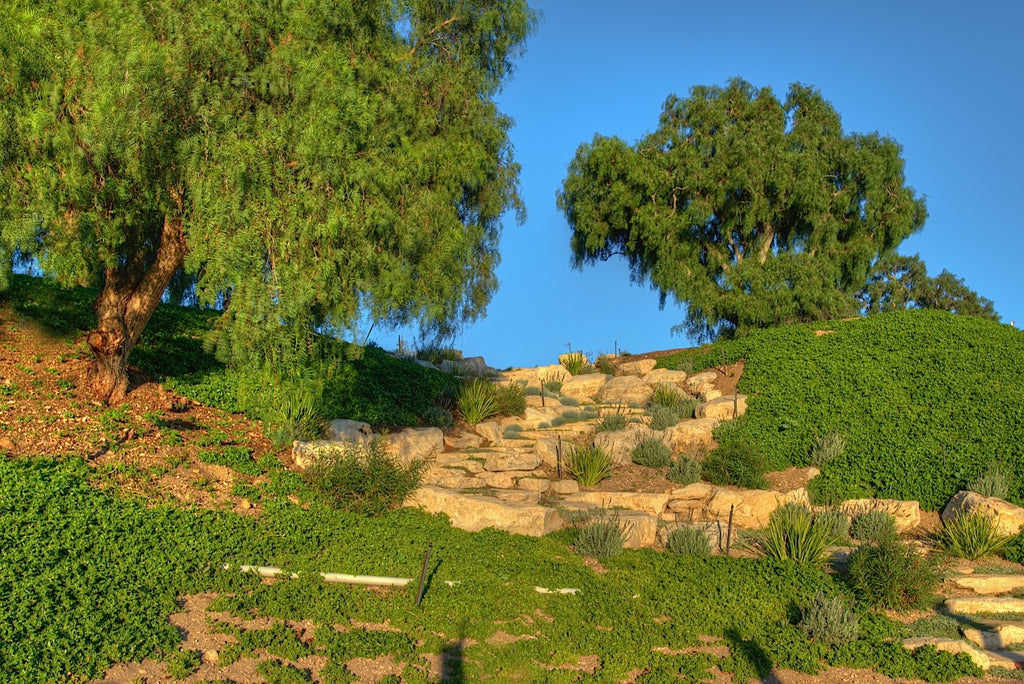 Ranch - RA3079 - Vineyard Land