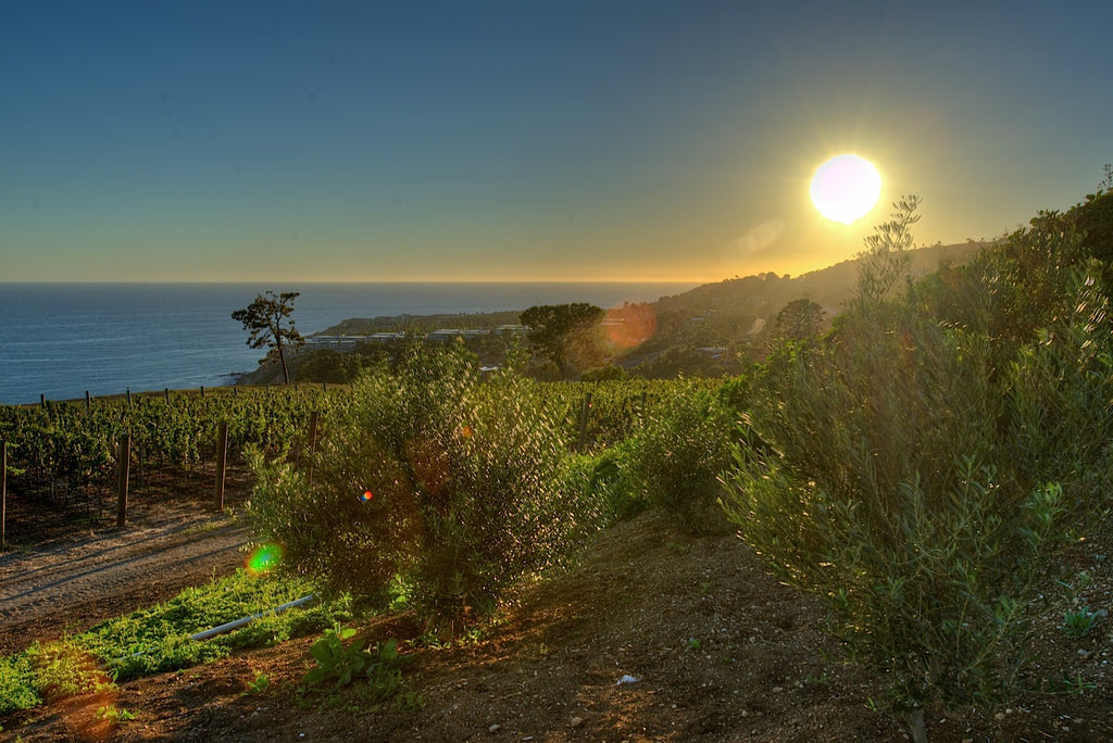 Ranch - RA3079 - Vineyard Land
