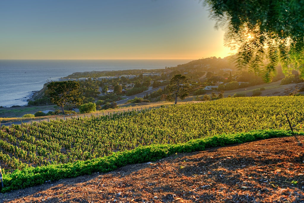 Ranch - RA3079 - Vineyard Land