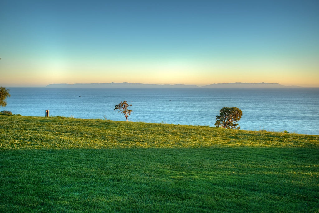 Ranch - RA3079 - Vineyard Land