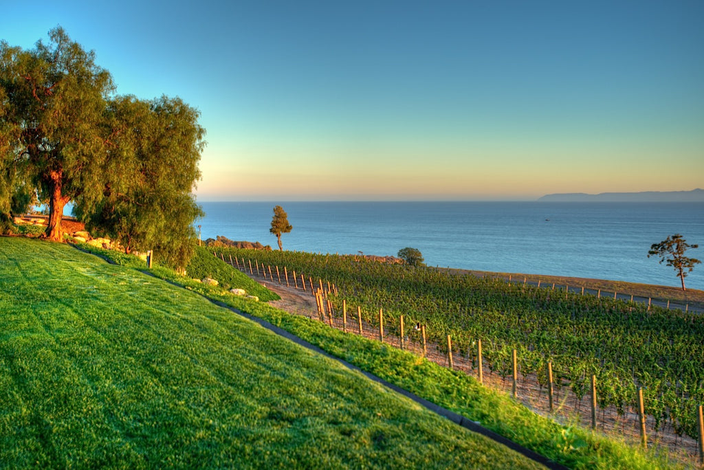 Ranch - RA3079 - Vineyard Land
