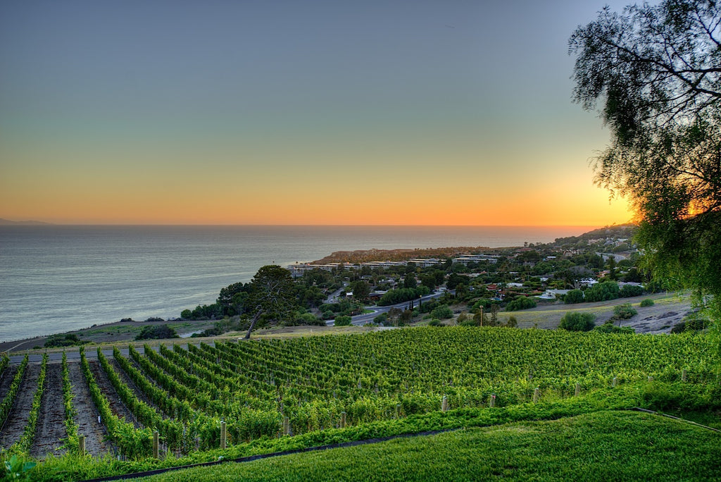 Ranch - RA3079 - Vineyard Land