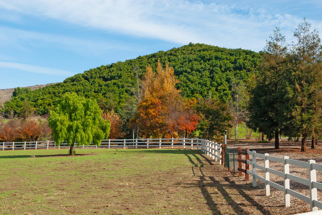 Ranch - RA3137