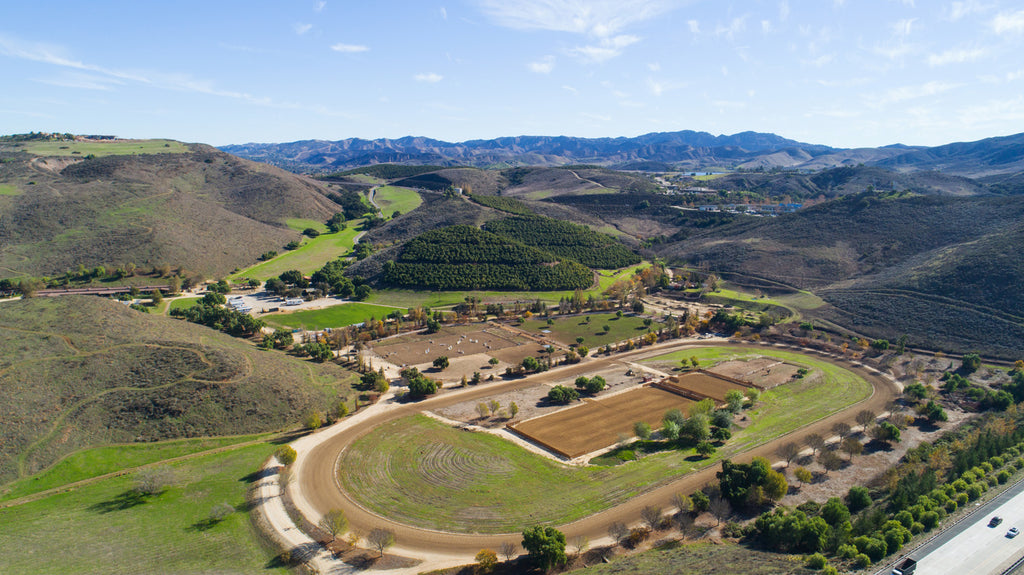 Ranch - RA3137