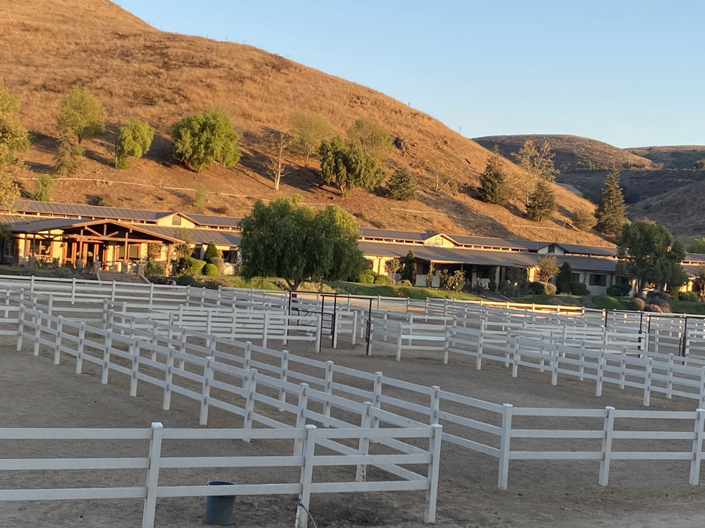 Ranch - RA3137