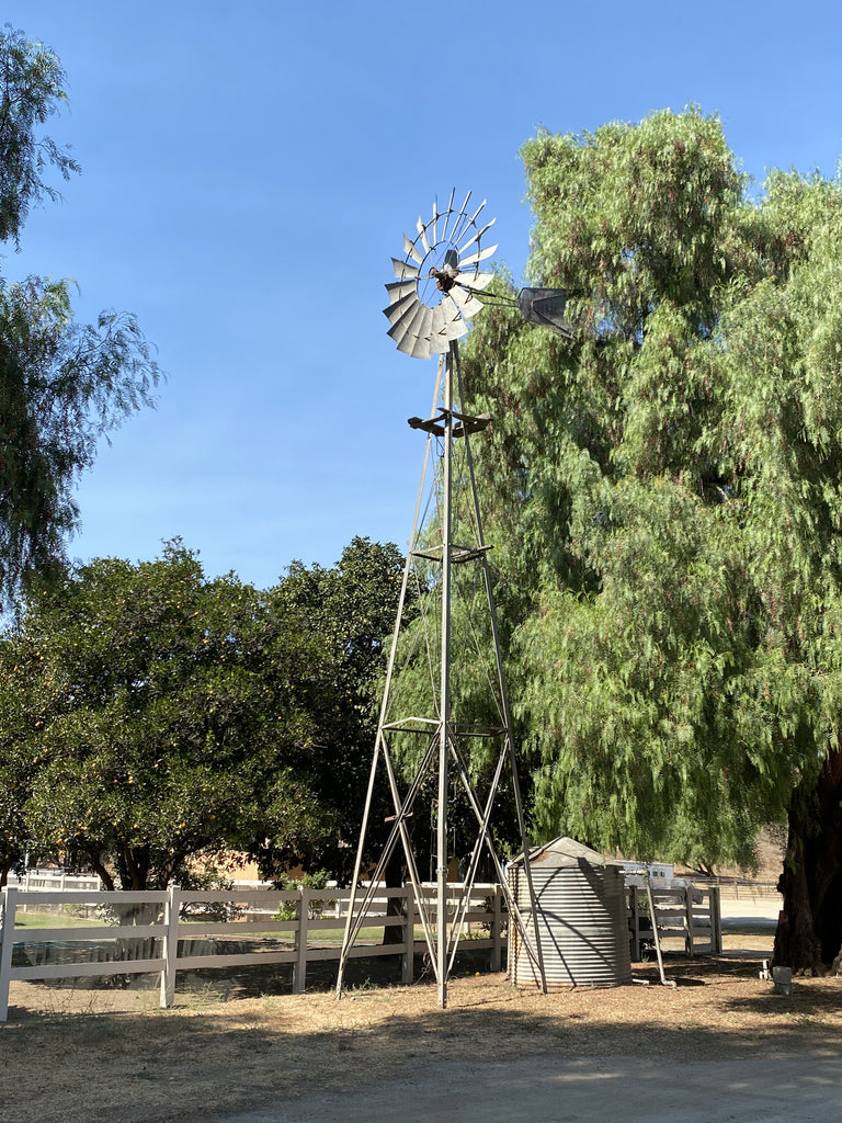 Ranch - RA3137