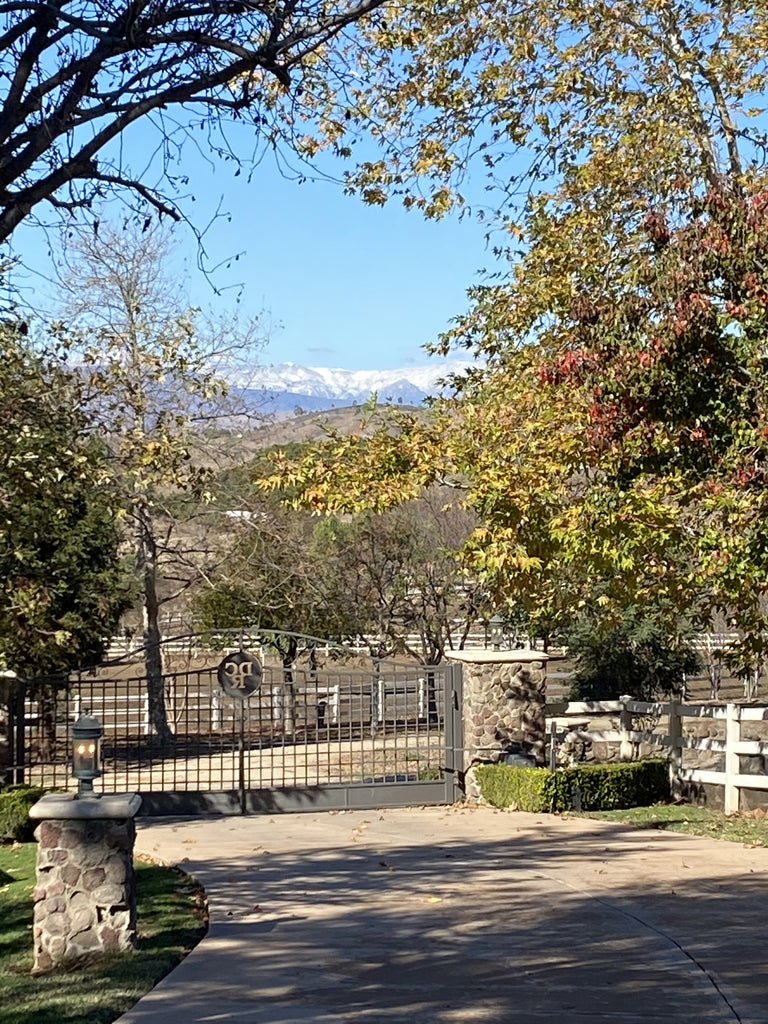 Ranch - RA3137