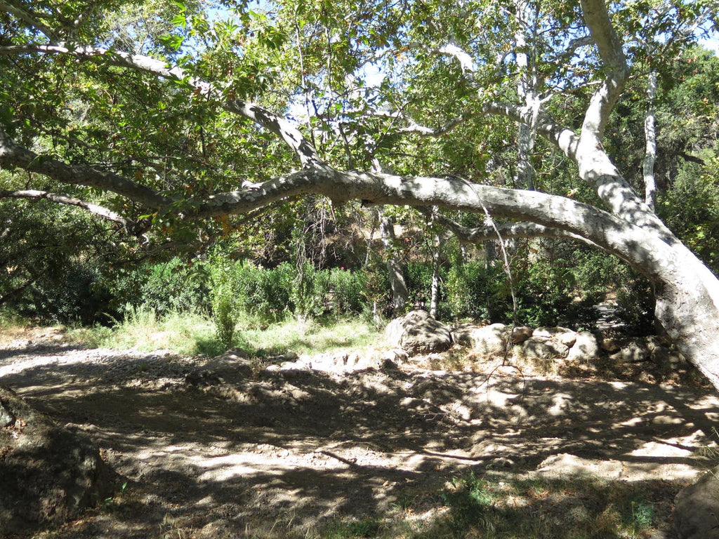 RANCH - RA3152