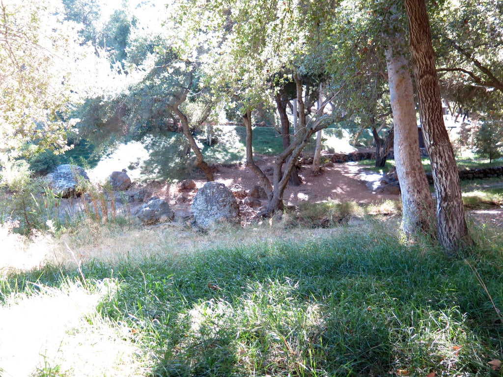 RANCH - RA3152