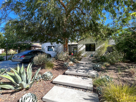 Ranch - RA3154